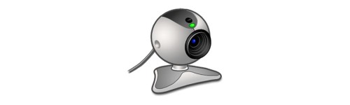 Videoconferenza e multiconferenza