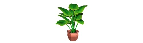 Piante