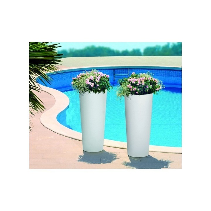 Vaso Genesis VECA