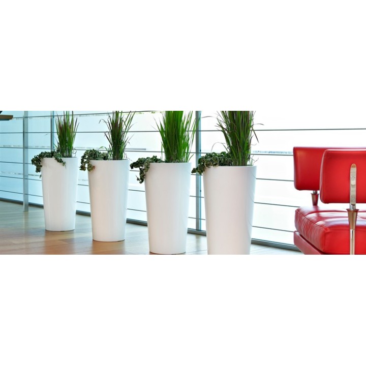 Vaso Genesis VECA