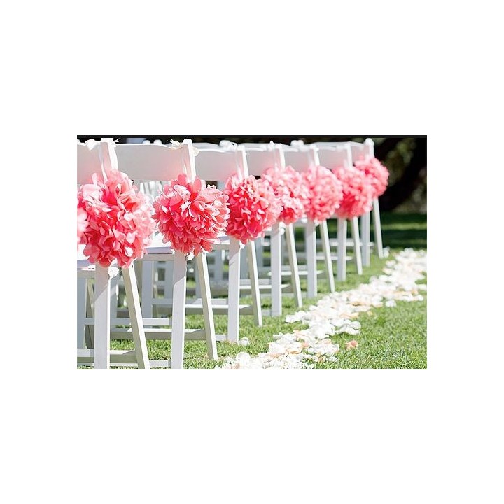 Pom Pom